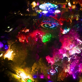 Aerial photo of lights beaming throughout Botanic Gardens