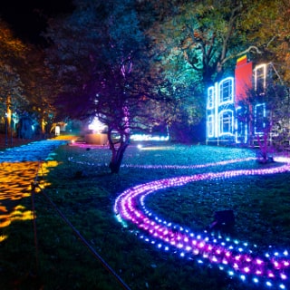 Illuminated trail leading towards Tenement of Terror